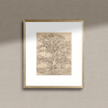 Load image into Gallery viewer, Great Oak | Wall Art