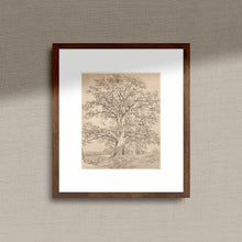 Load image into Gallery viewer, Great Oak | Wall Art
