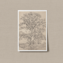 Load image into Gallery viewer, Great Oak | Wall Art
