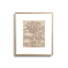 Load image into Gallery viewer, Great Oak | Wall Art
