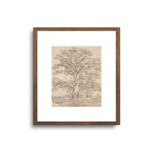 Load image into Gallery viewer, Great Oak | Wall Art
